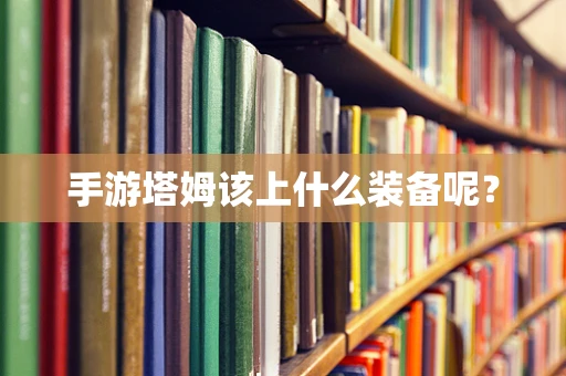 手游塔姆该上什么装备呢？