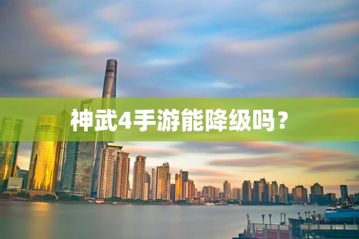 神武4手游能降级吗？