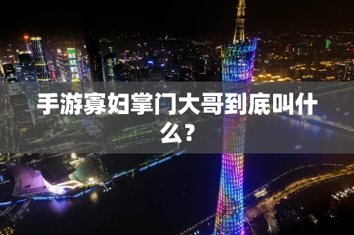 手游寡妇掌门大哥到底叫什么？
