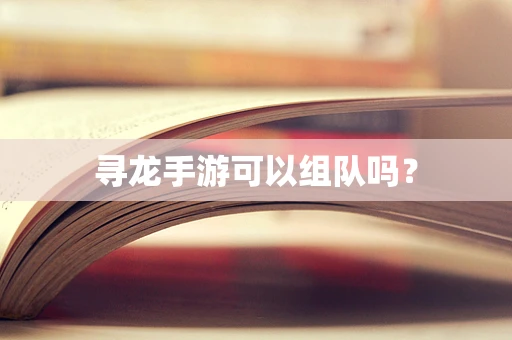 寻龙手游可以组队吗？