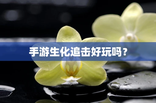 手游生化追击好玩吗？