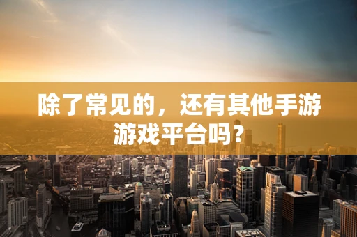除了常见的，还有其他手游游戏平台吗？