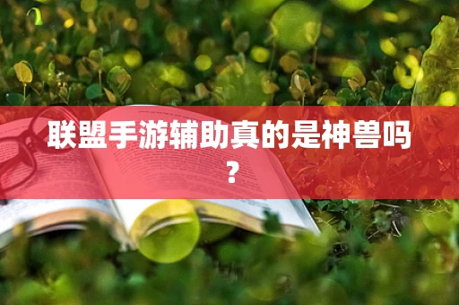 联盟手游辅助真的是神兽吗？