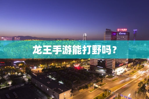 龙王手游能打野吗？