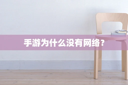 手游为什么没有网络？
