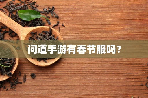 问道手游有春节服吗？