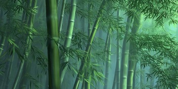 楚留香手游暗香能玩吗？