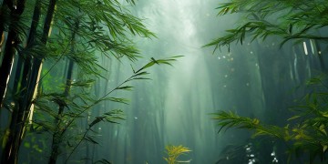 武林外传手游会送时装吗？